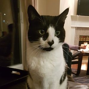 Meet your Posher, Chanmi